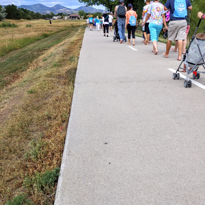 Team Page: We Fight For Freedom